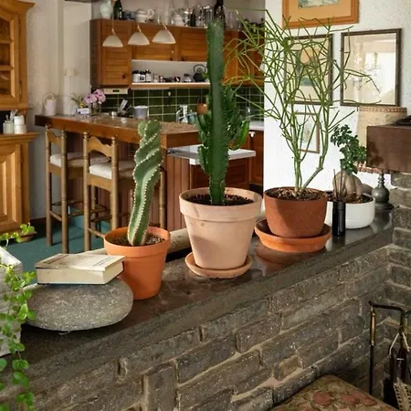 Great Bungalow With Garden شقة